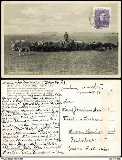Postcard .Ungarn UNGARN, HONGRIE, HUNGARY Schäfer Hortobagy 1928
