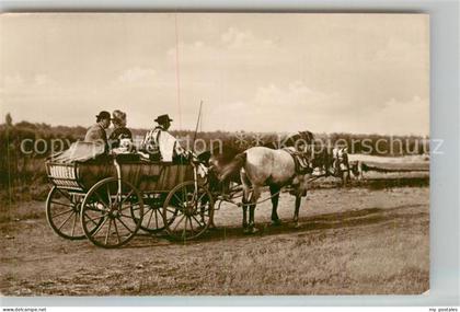 Ungarn Pferdekutsche