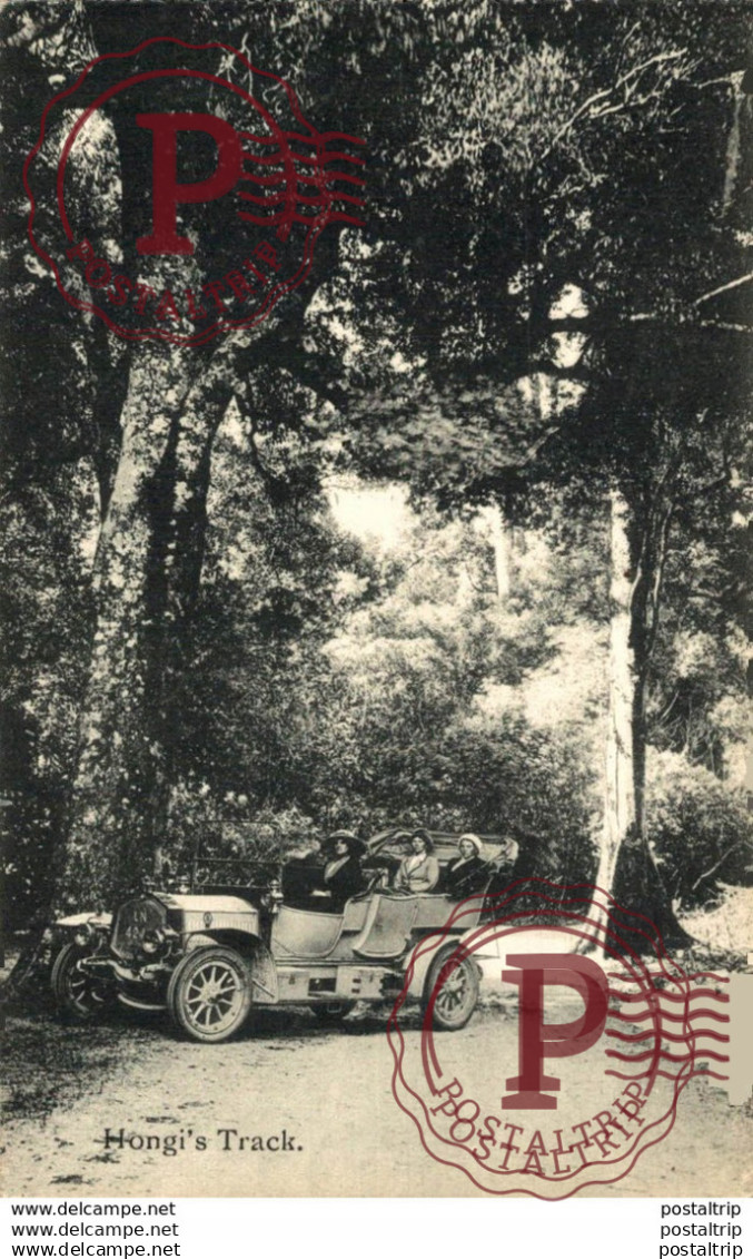 HONGI'S TRACK NEW ZEALAND NUEVA ZELANDA