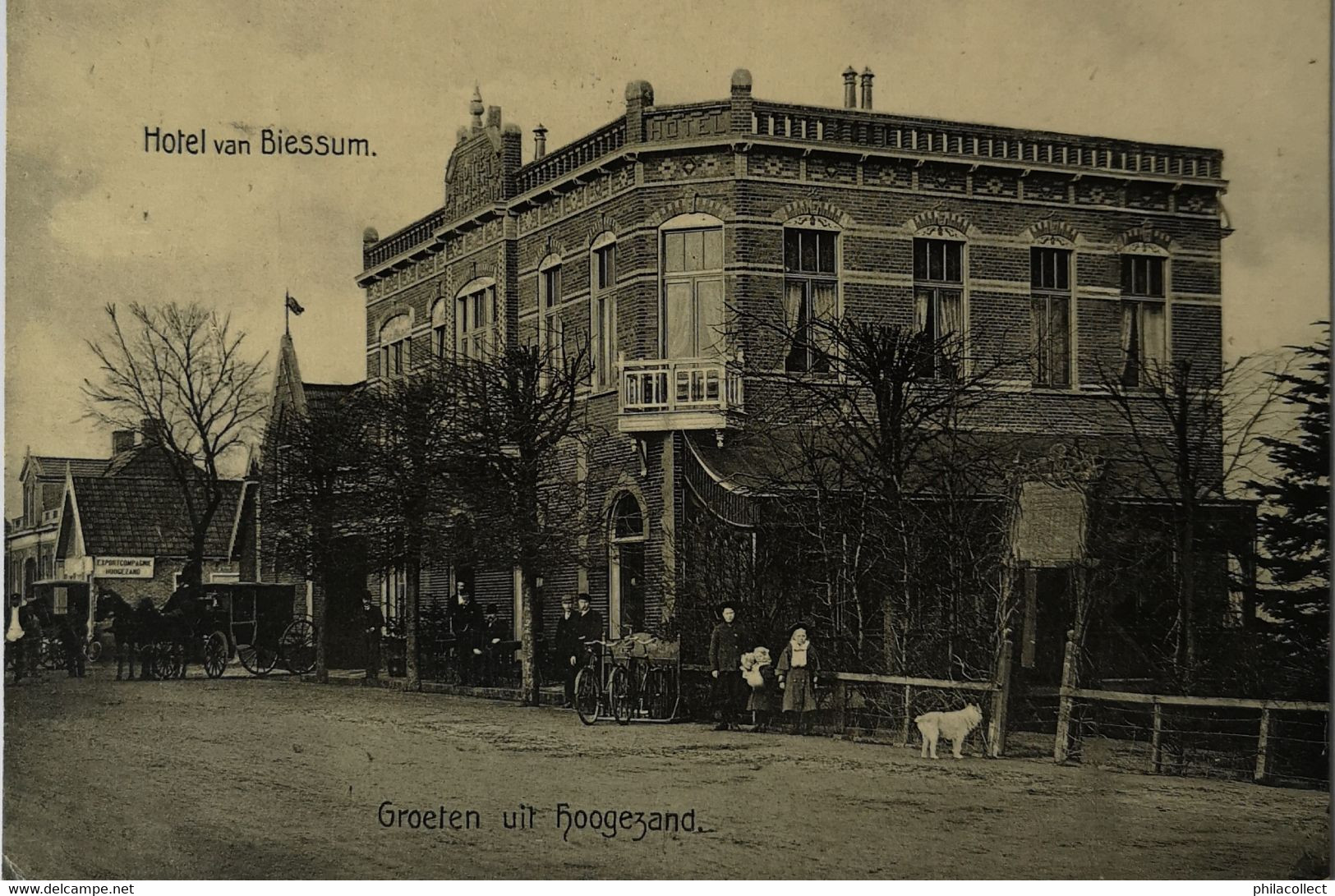 Hoogezand (Grn.) Groeten uit - Hotel van Biessum 1909 Topkaart