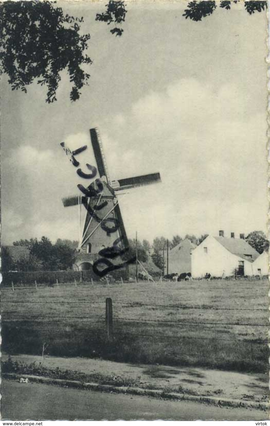 Hoogstraten :  De windmolen   ( geschreven met zegel )