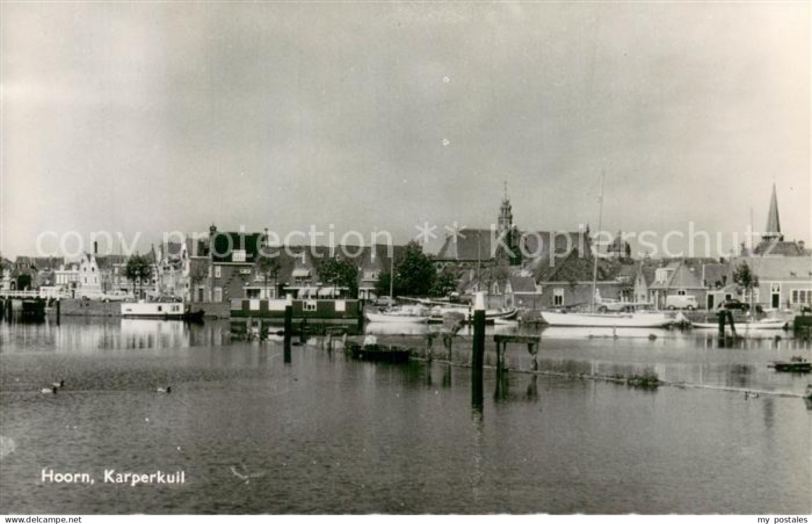 Hoorn Karperkuil