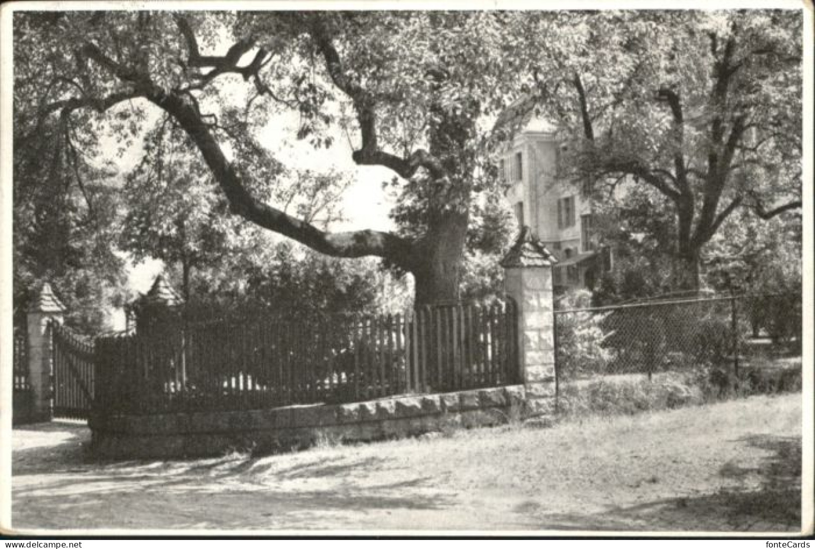 Horgen ZH Horgen Toechter Institut