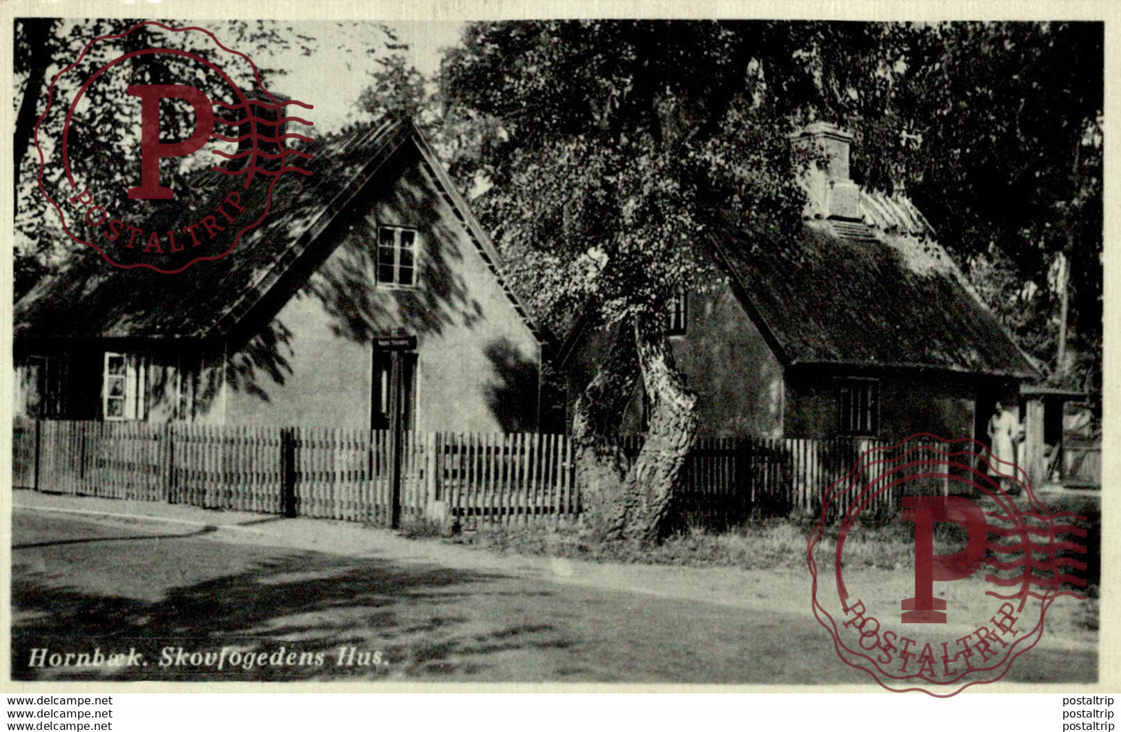 HORNBAEK   Dänemark  denmark dinamarca