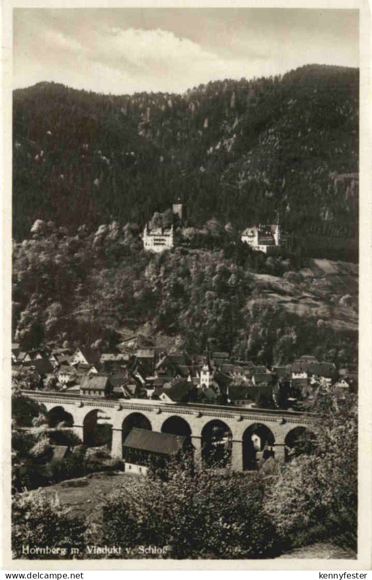 Hornberg m. Viadukt v. Schloss