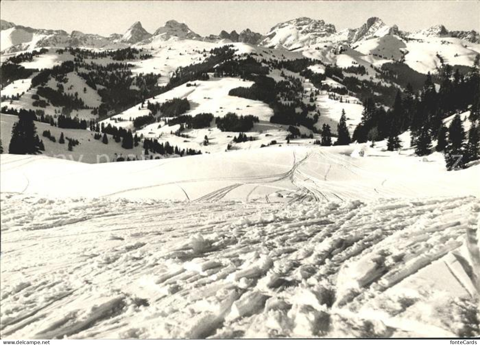 Hornberg Saanenmoeser