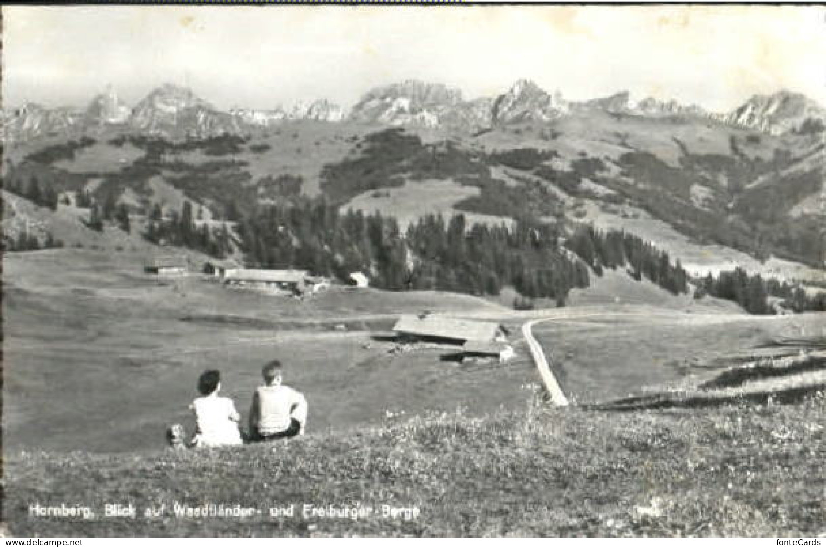 Hornberg Saanenmoeser