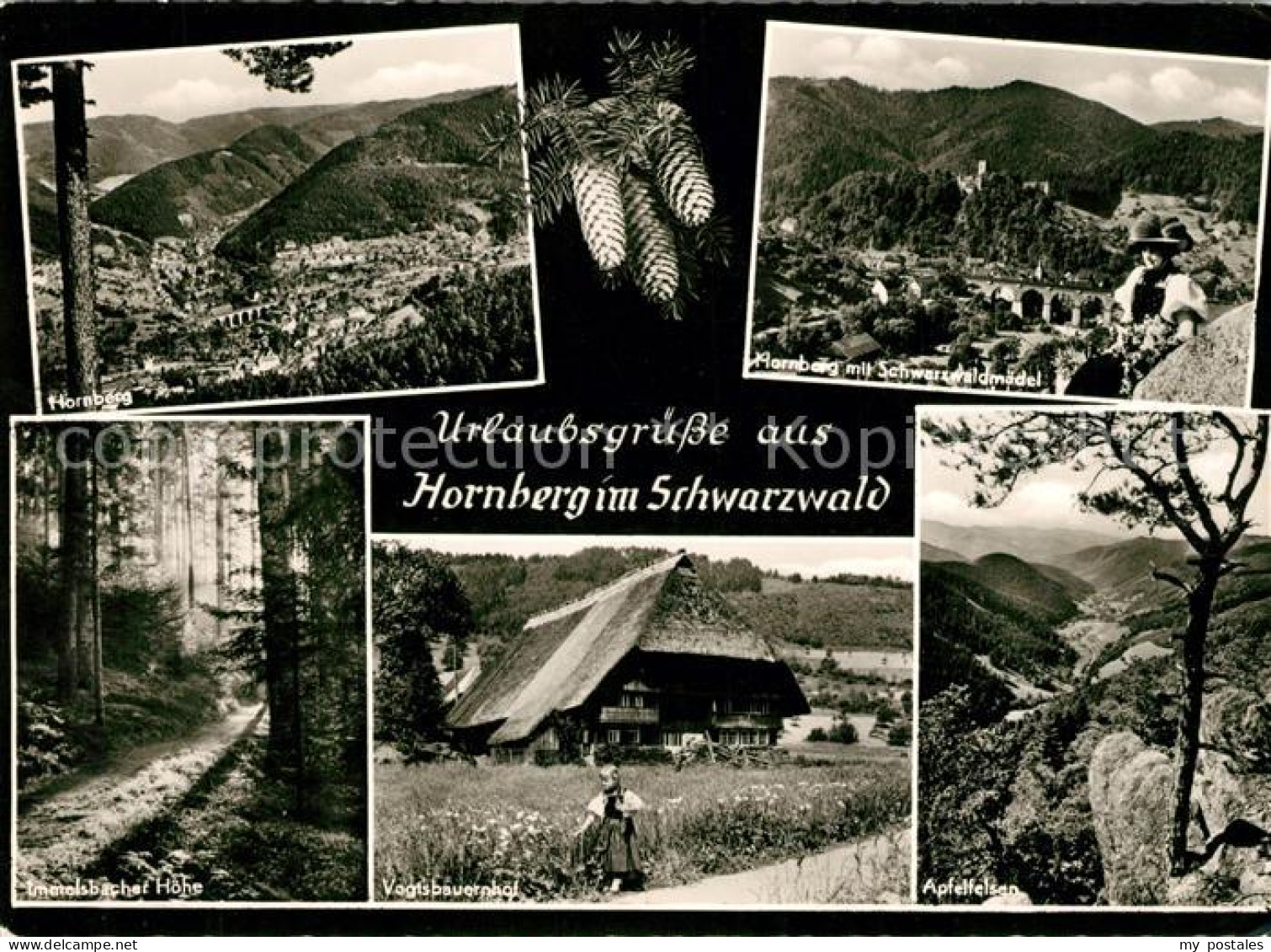 Hornberg Schwarzwald Hornberg Schwarzwaldmdel Vogtsbauernhof Apfelfelsen