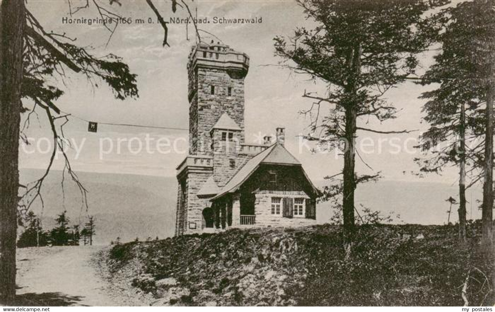 Hornisgrinde Sasbach Aussichtsturm