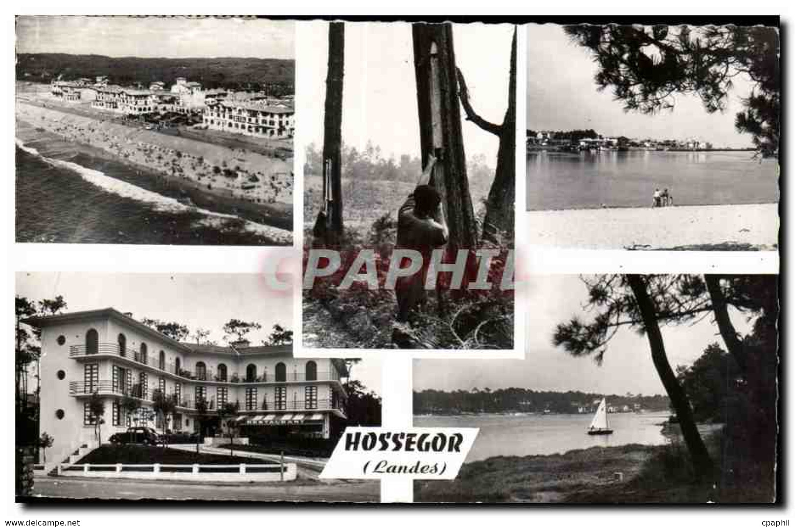 Hossegor - Souvenir - CPA