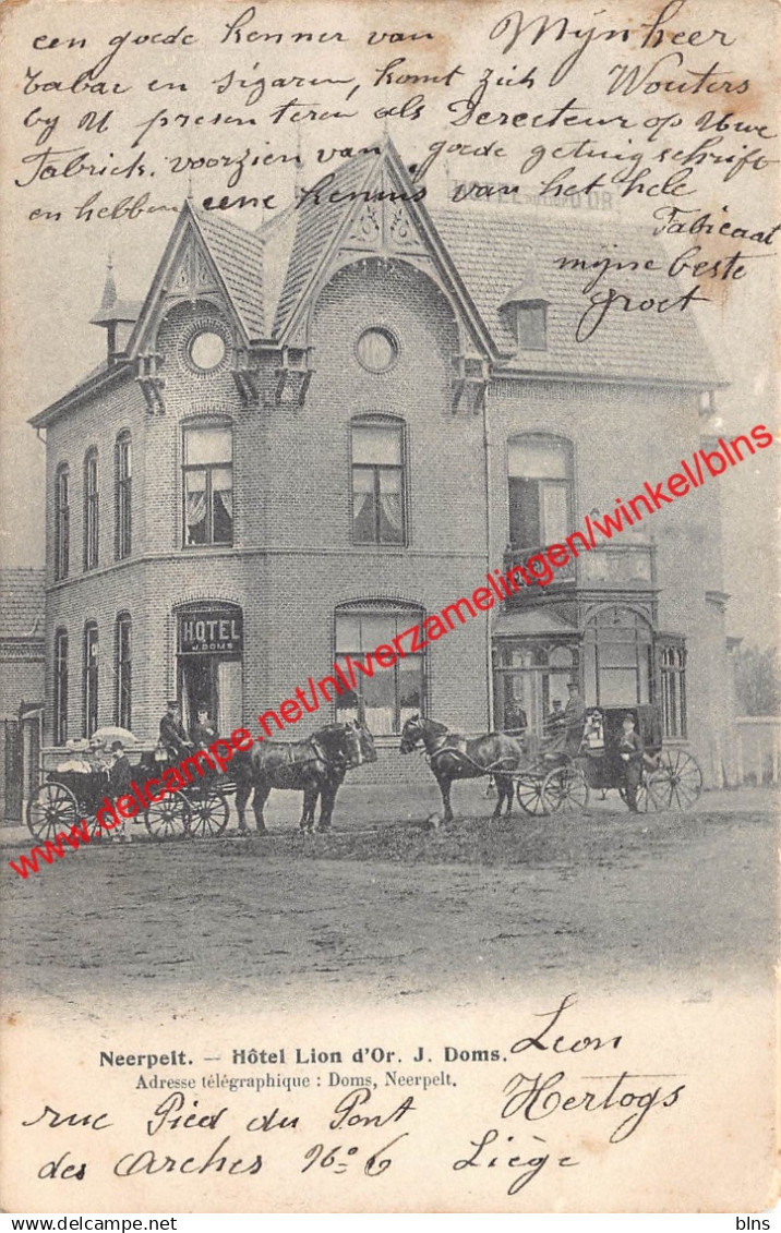 Hôtel Lion d'Or J. Doms - Neerpelt