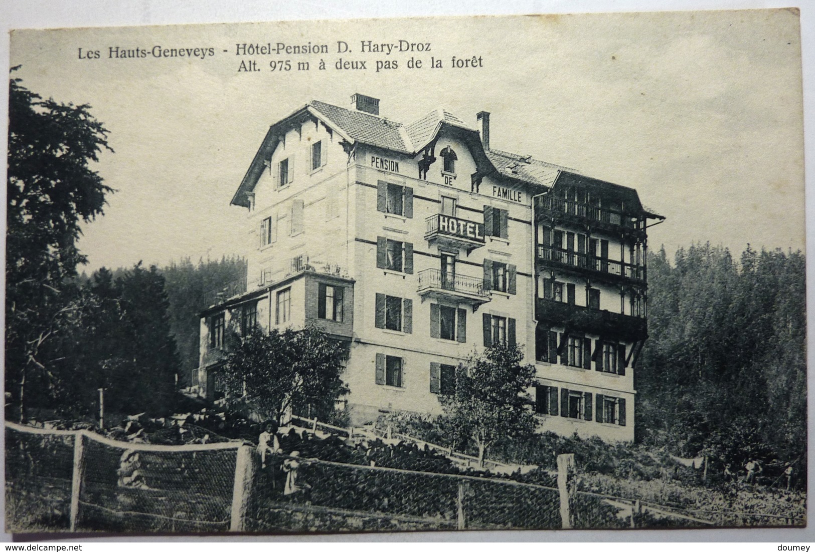 HÔTEL-PENSION D. HARY-DROZ - ALT 975 m Á DEUX PAS DE LA FORÊT - LES HAUTS-GENEVEYS