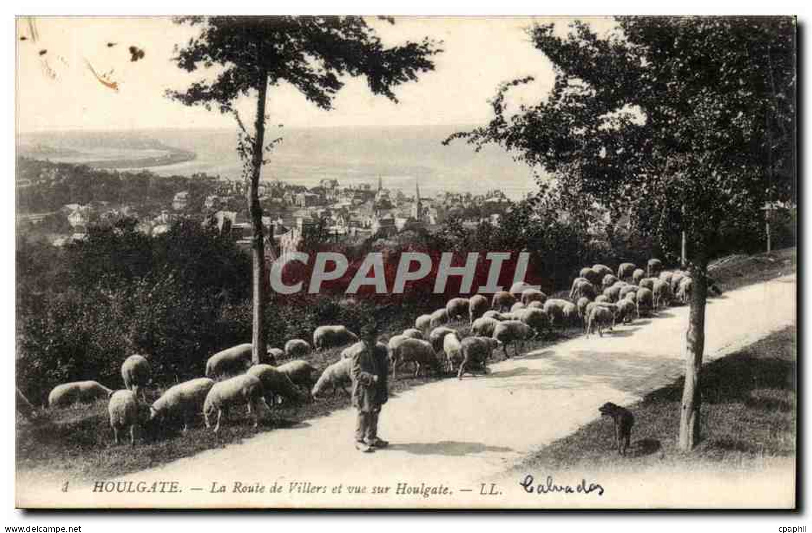 Houlgate CPA La route de Villers et vue sur Houlgate (moutons)