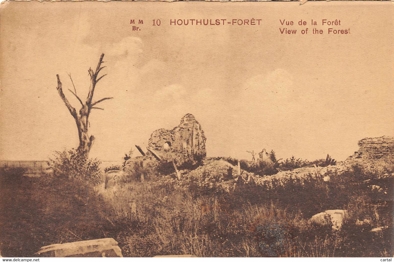 HOUTHULST-FORÊT - Vue de la Forêt