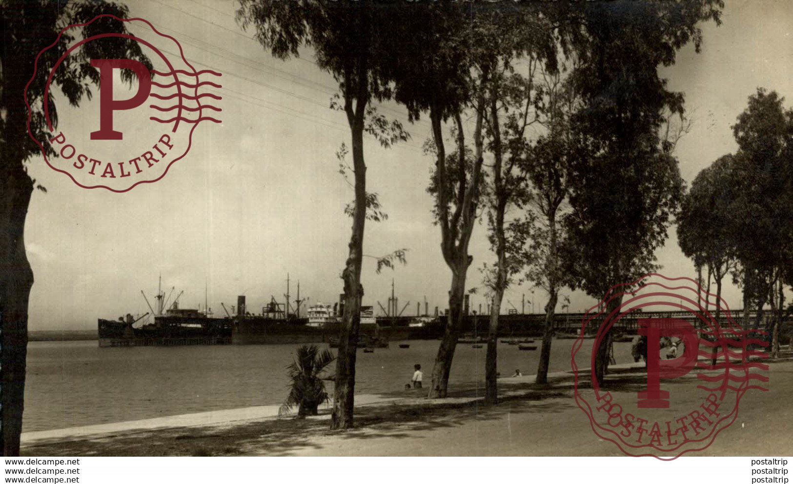 HUELVA. - MUELLE DE RIO TINTO