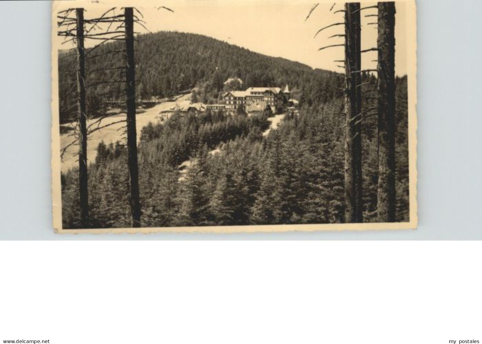 Hundseck 900m Buehl BW Kurhaus Schwarzwald Buehl Baden