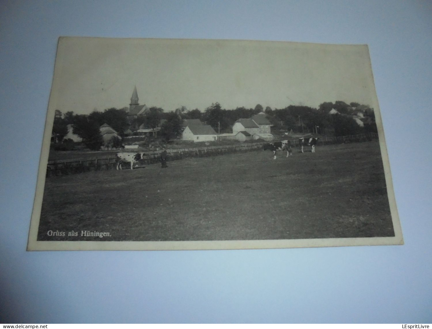 HÜNINGEN Grüss Aüs Hünningen Rare ! Vaches Commune Bullange Cachet Prov Liège PK CPA Carte Postale Post Kaart Postcard