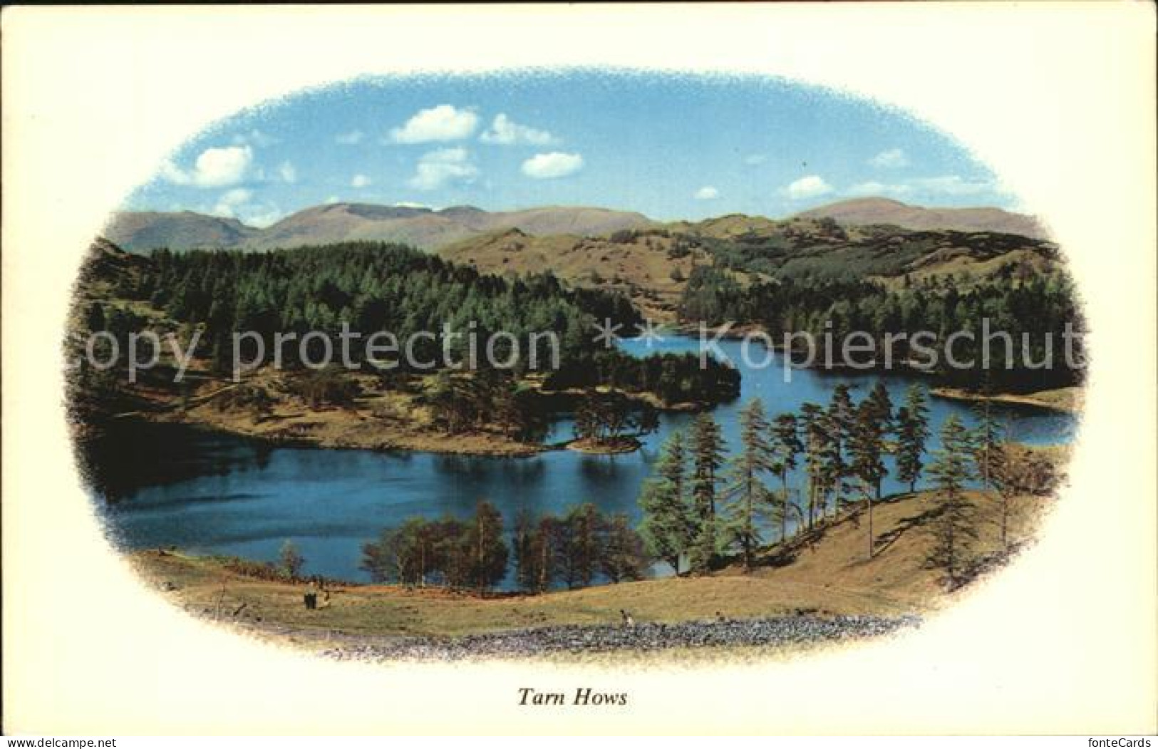 Huntingdon Huntingdonshire Tarn Hows Partie am See