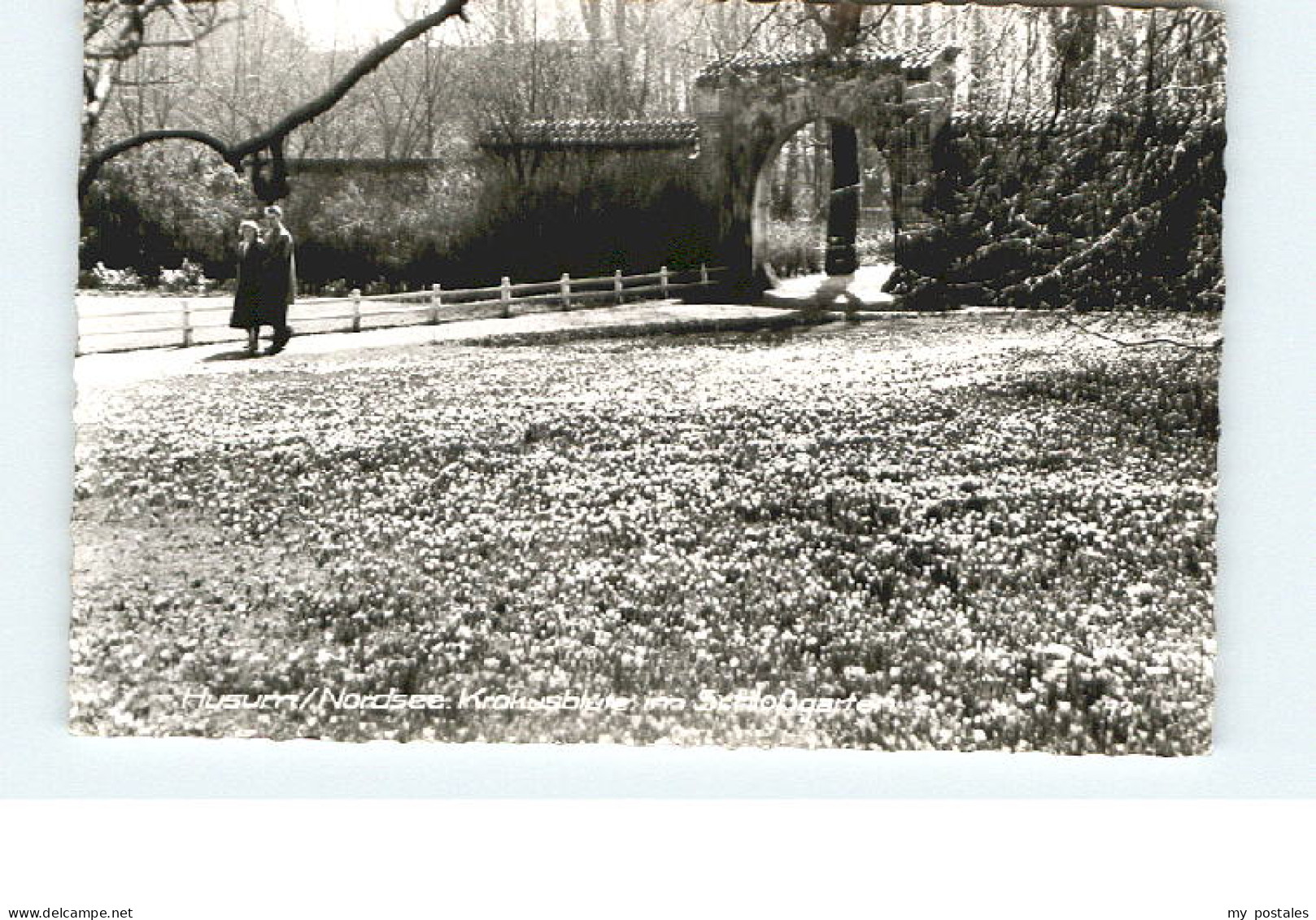 Husum Nordfriesland Husum