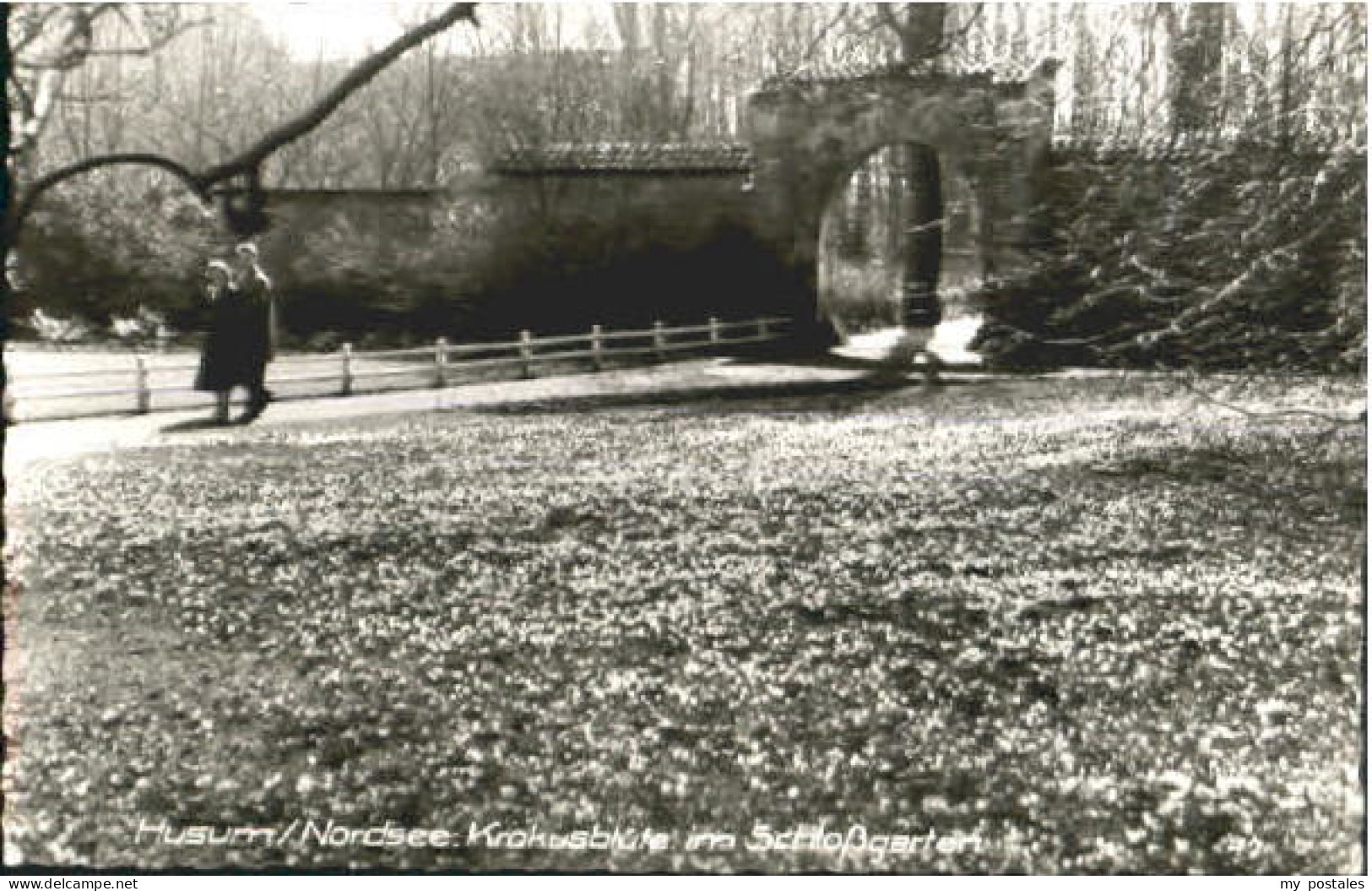 Husum Nordfriesland Husum Schlossgarten x 1968