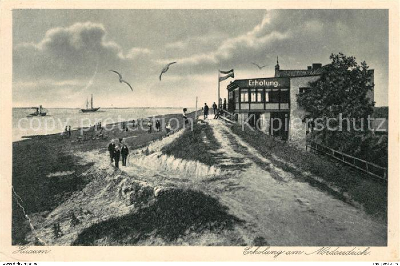 Husum Nordfriesland Nordseedecih