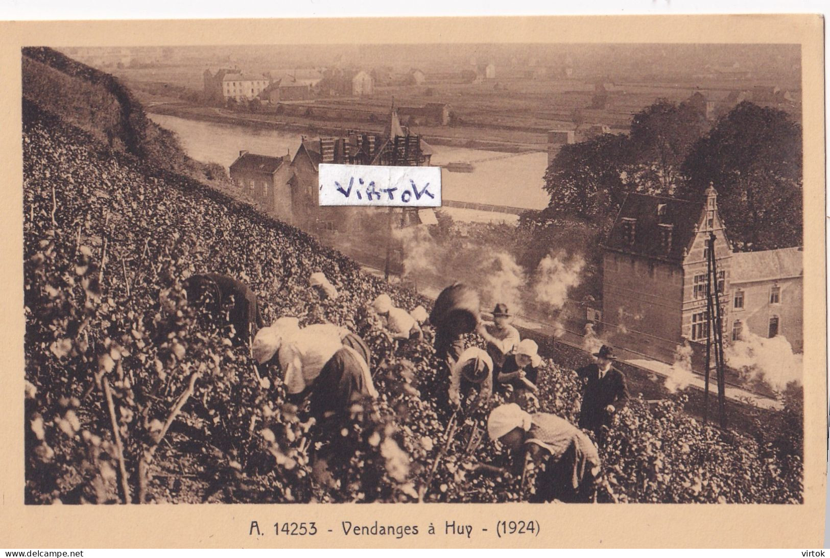 HUY :  vendanges   1924