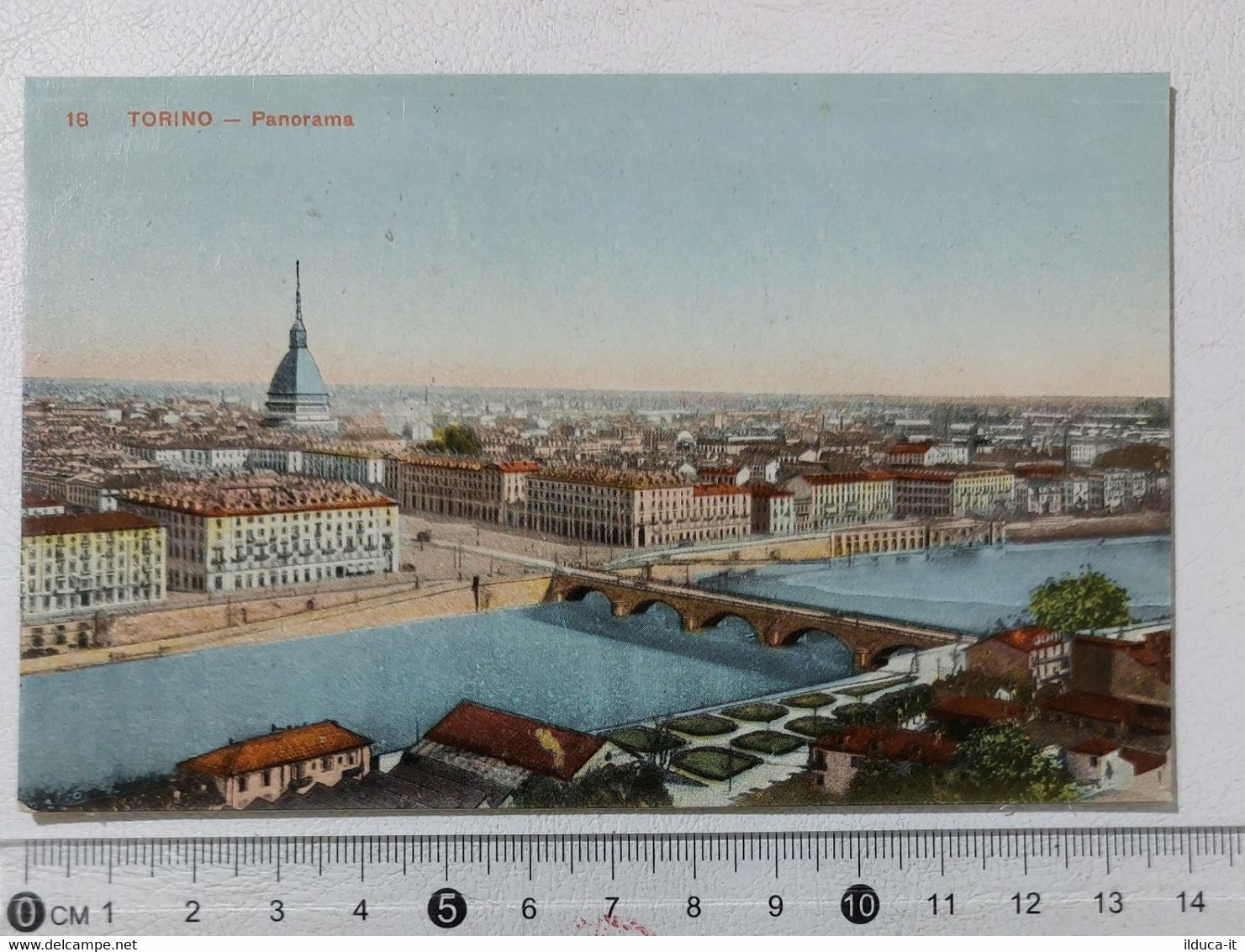 I120043 Cartolina - Torino - Panorama