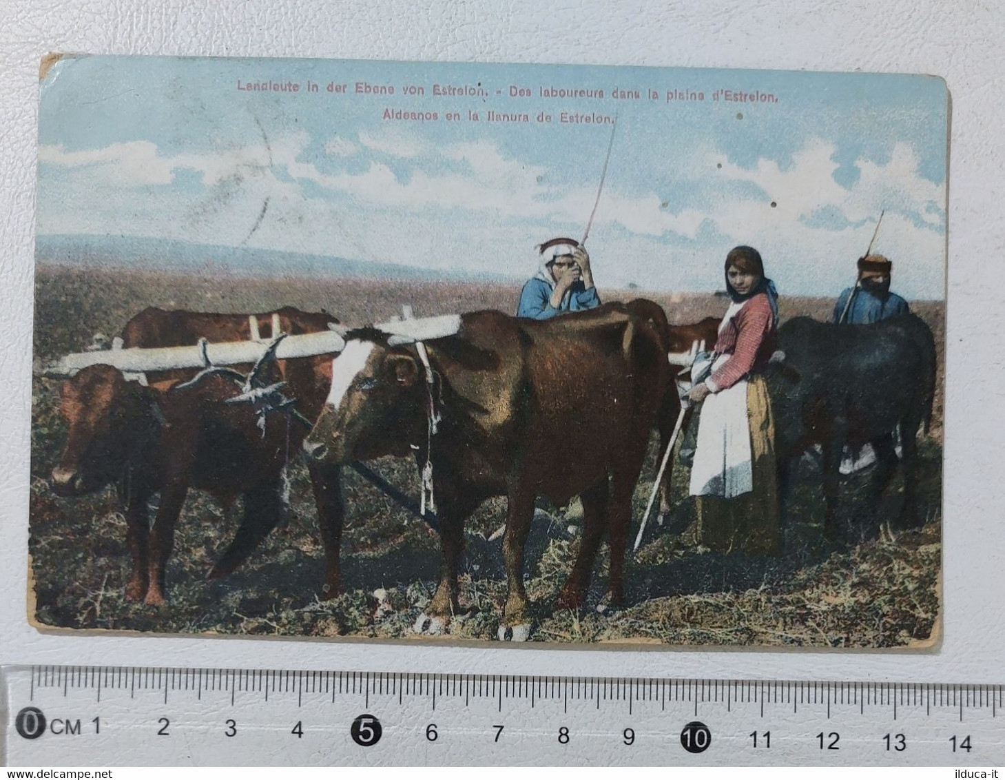 I121614 Cartolina Israele - Pianura Estrelon