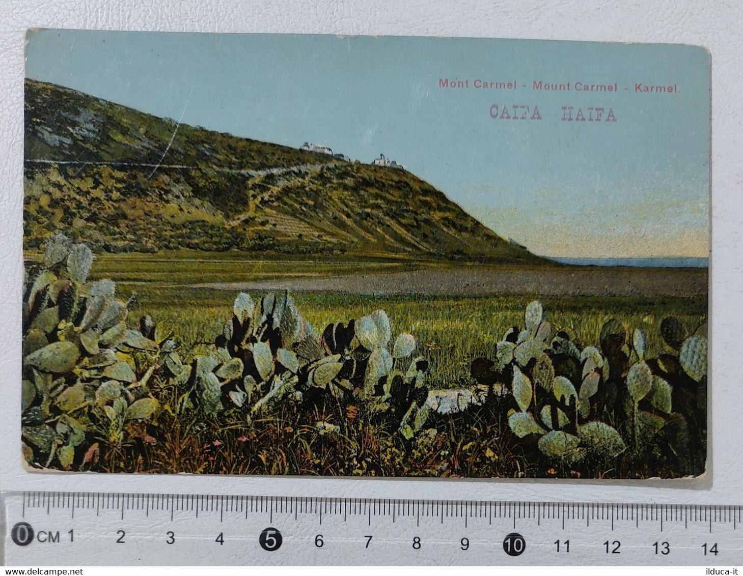 I121617 Cartolina Israele - Mont Carmel - Caifa Haifa