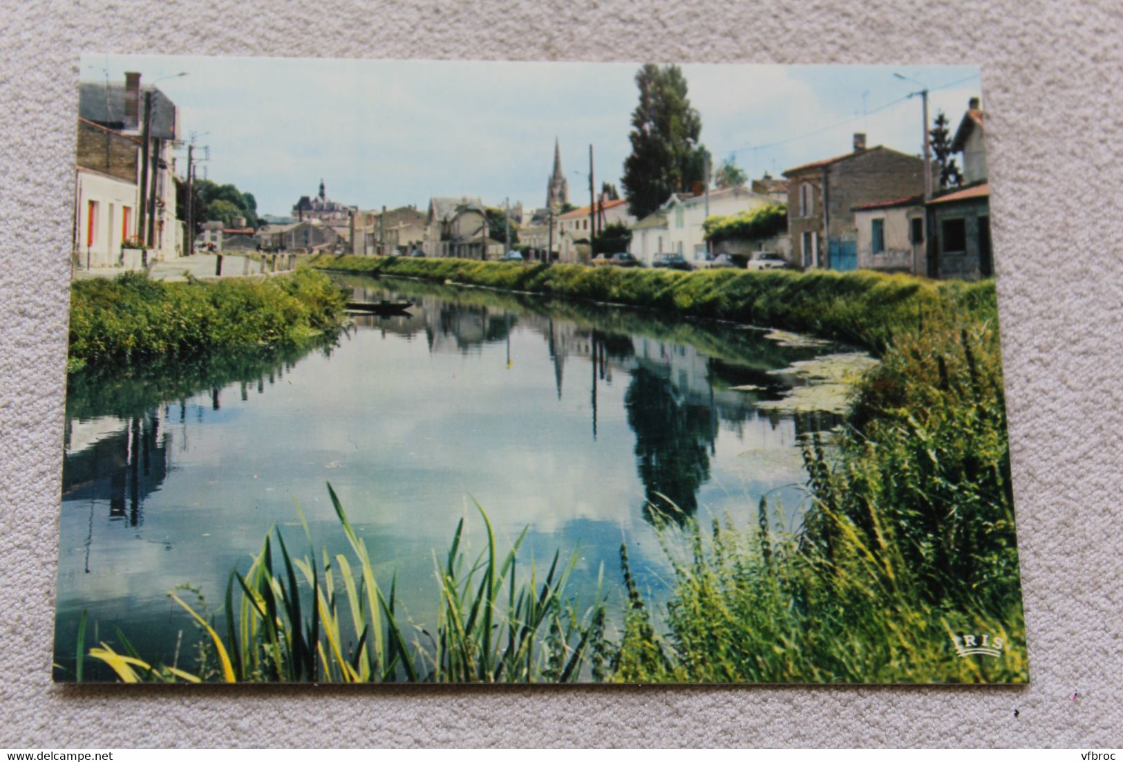 I501, Cpm, Niort, les bords de Sèvre, Deux Sèvres 79