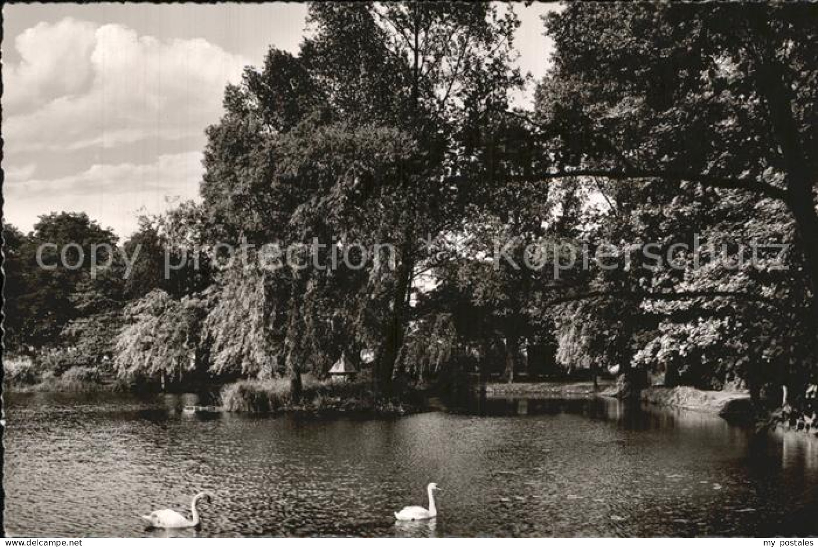 Ibbenbueren Schwanenteich