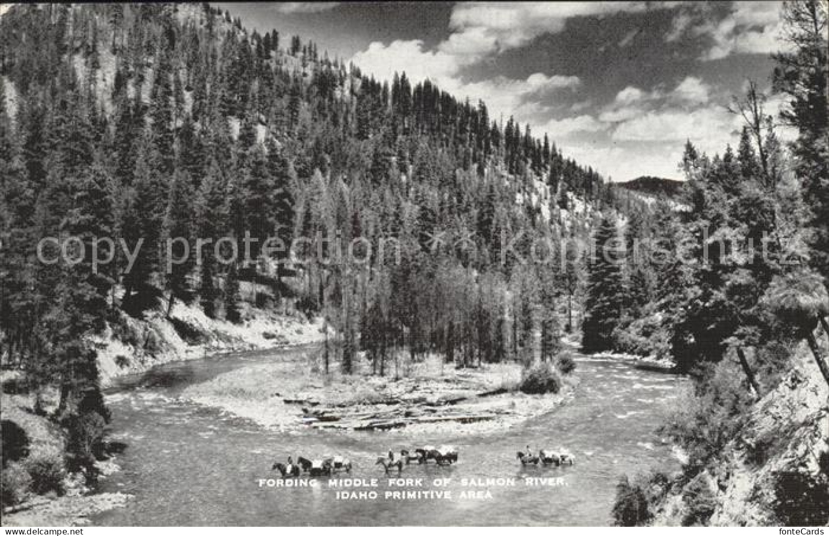Idaho US-State Salmon River
