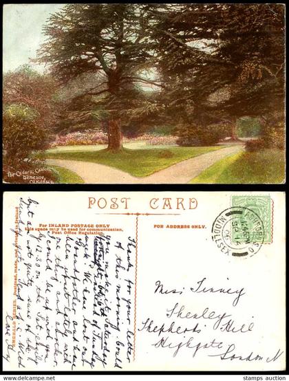 Ireland Co Kildare 1906 Old Postcard The Cedars Caxton Demesne Cedar Trees Irish