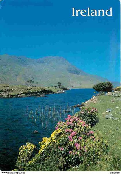 Irlande - Rivière - Fleurs - Ireland - CPM - Voir Scans Recto-Verso