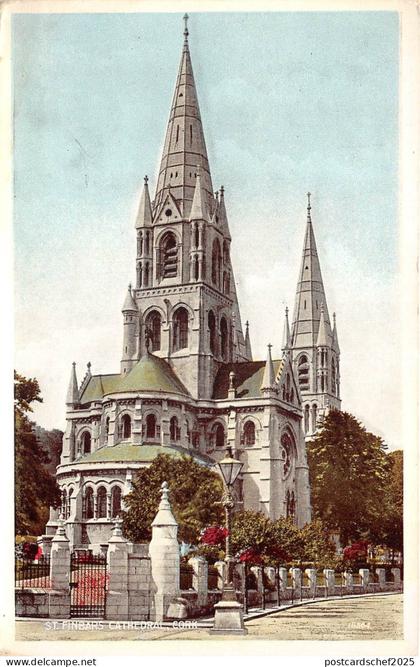 br108221 st finbars cathedral cork ireland