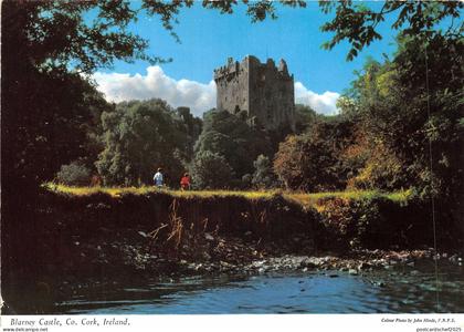 uk51811 blarney castle cork ireland
