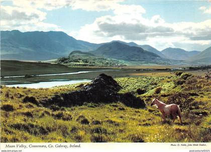 BR23105 Maam Valley Connemara Co Galway  ireland
