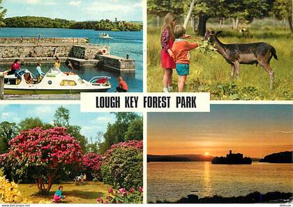 Carte Postale - Irlande - Roscommon - Lough Key Forest Park - Multivues - Biches - Ireland - CPM - Voir Scans Recto-Vers