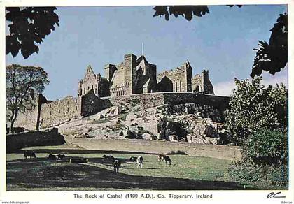 Irlande - Tipperary - The Rock of Cashel - Châteaux - Vieilles pierres - Carte Neuve - Ireland - CPM - Voir Scans Recto-