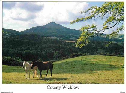 Carte Postale - Irlande - Wicklow - County Wicklow - CPM - Voir Scans Recto-Verso - Poscard - Carta Postal -  Postkarte