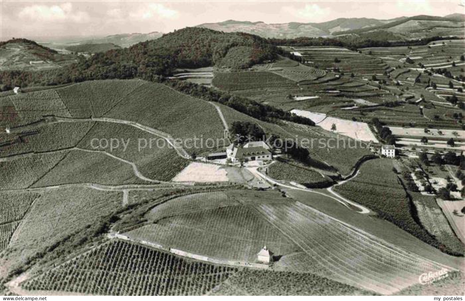 Ihringen Kaiserstuhl BW Blankenhornsberg Historisches Gutsgebaeude Vinothek