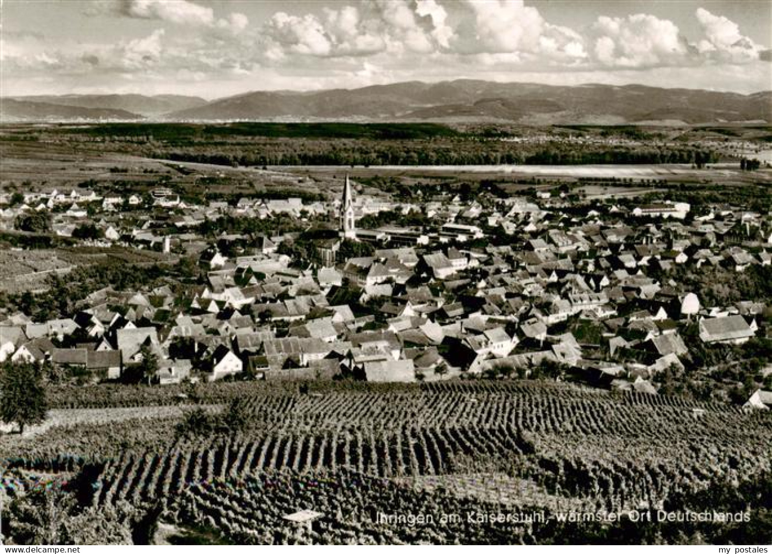 Ihringen Kaiserstuhl Fliegeraufnahme
