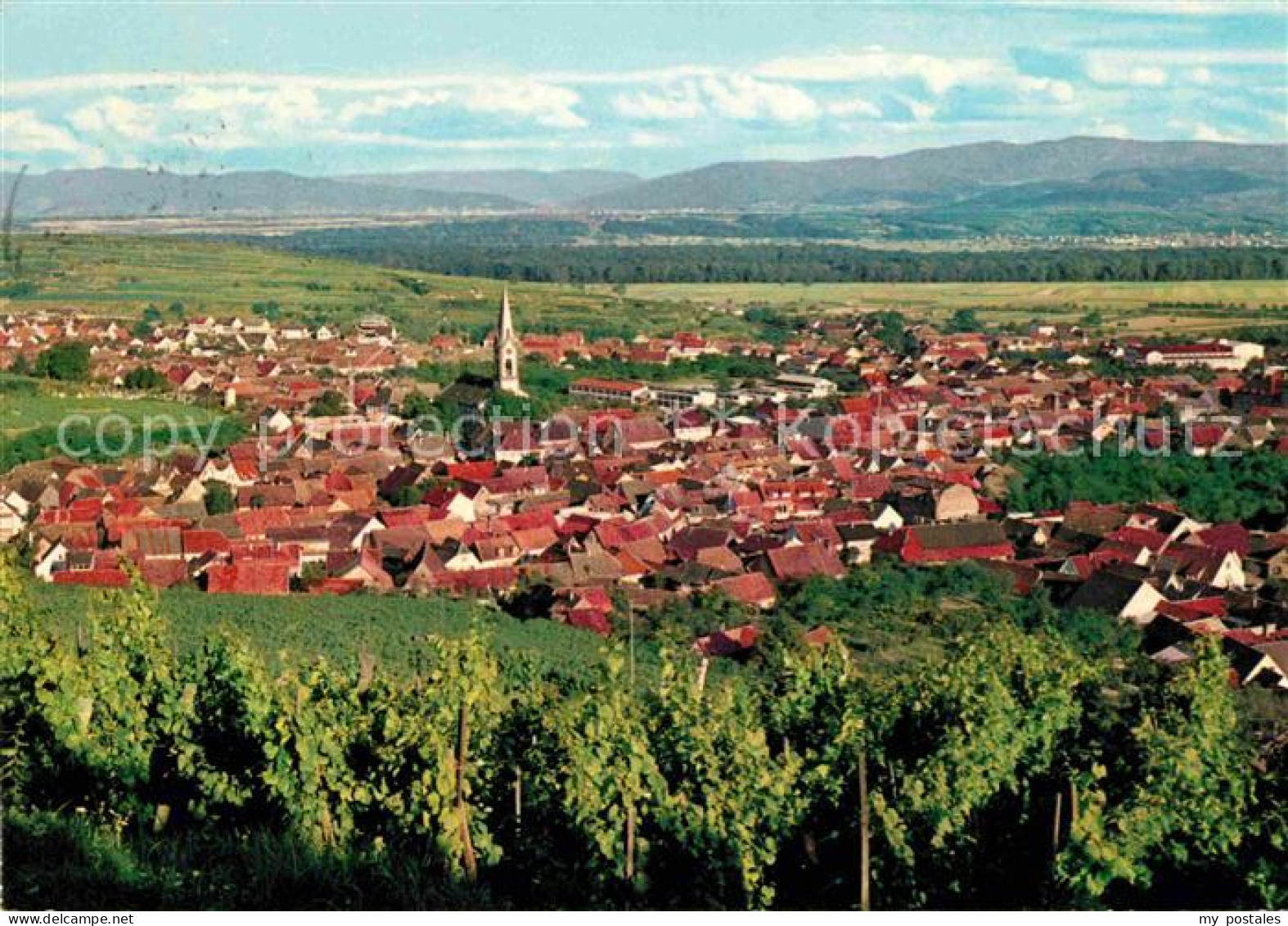 Ihringen Kaiserstuhl Panorama