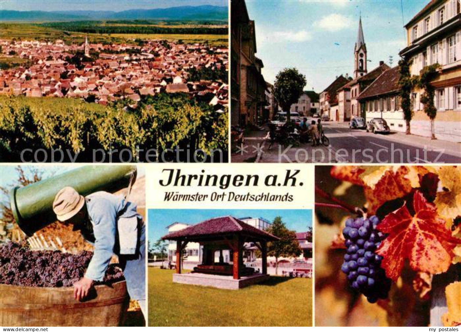 Ihringen Panorama Ortsansicht