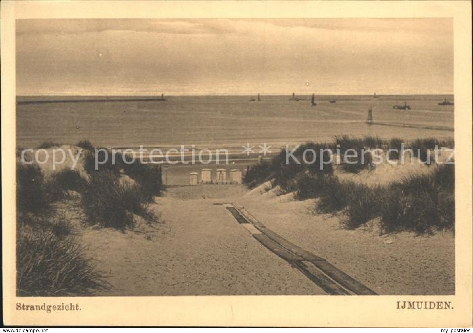 Ijmuiden Strandgezicht Duenen