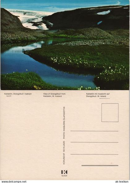Island  Island Iceland Kaldalón Drangjökull View W. Iceland   1975