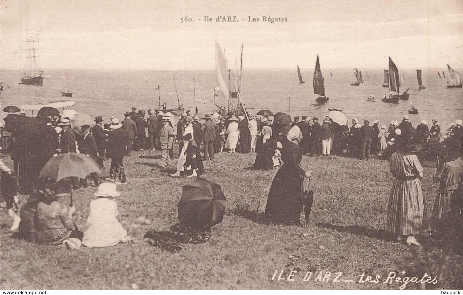 ILE D'ARZ : LES REGATES