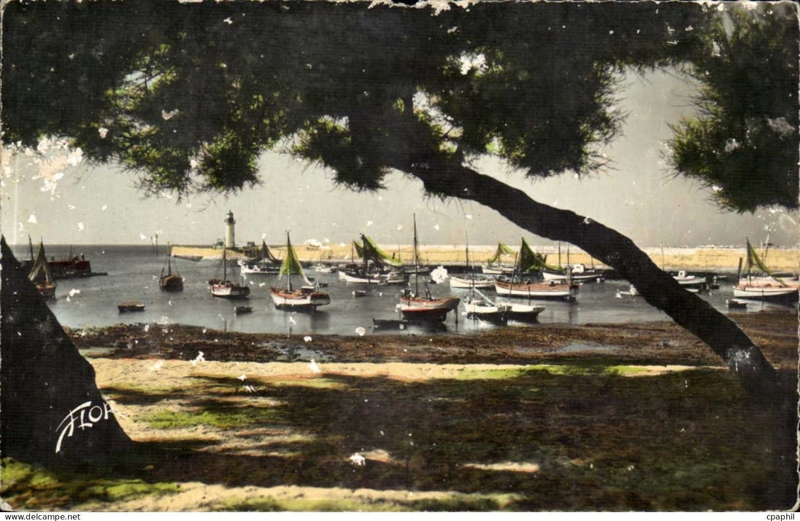 Ile d'oleron CPM (bateaux)