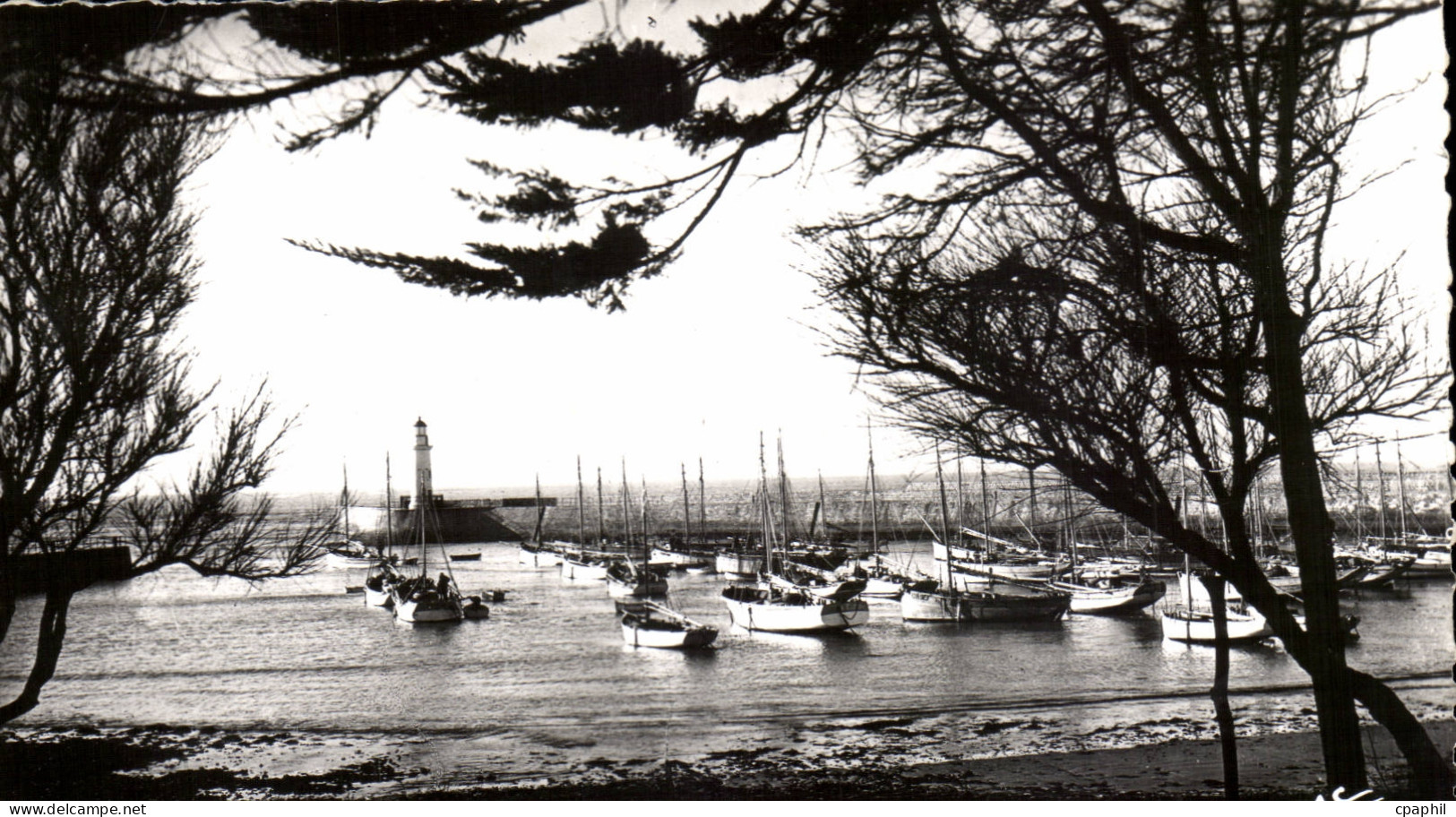 Ile d'Oleron - La Cotiniere - CPA