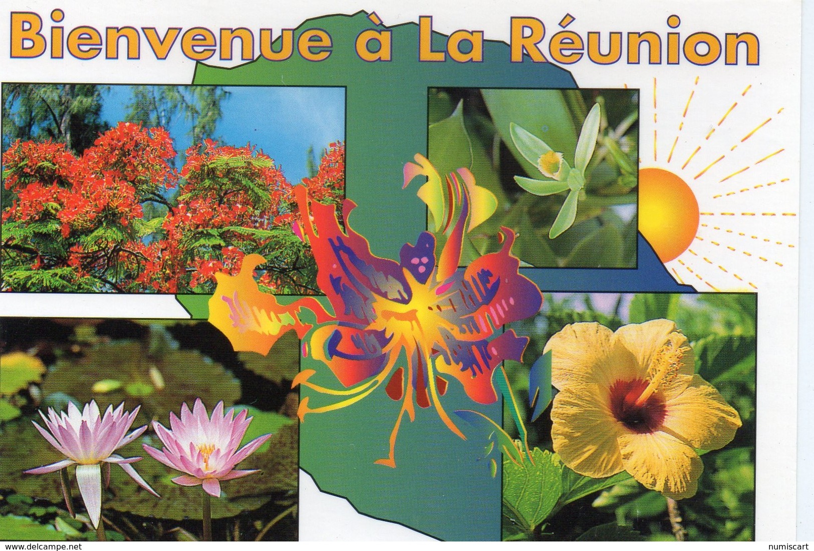 Ile de la Réunion les Fleurs de La Réunion DOM TOM